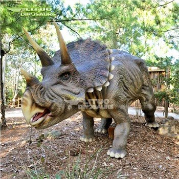 ไทรเซราทอปส์คืนสภาพแล้ว 90%