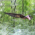 Animatronic Pterodactyl และ Quetzalcoatlus
